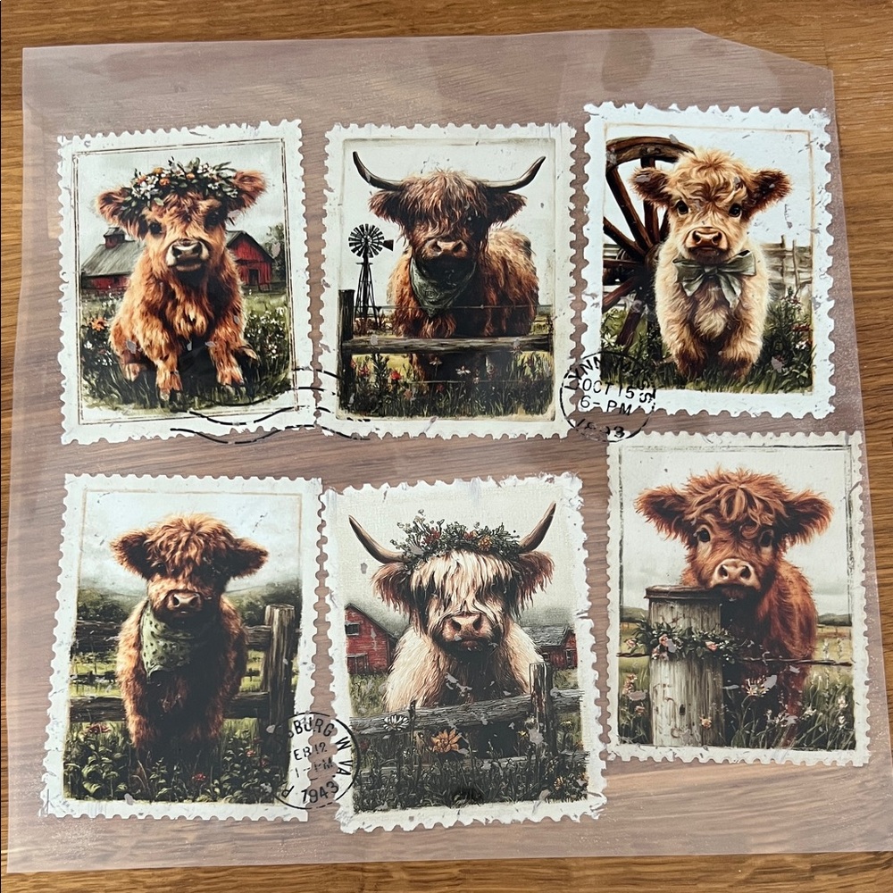 Highland cow dtf transfer